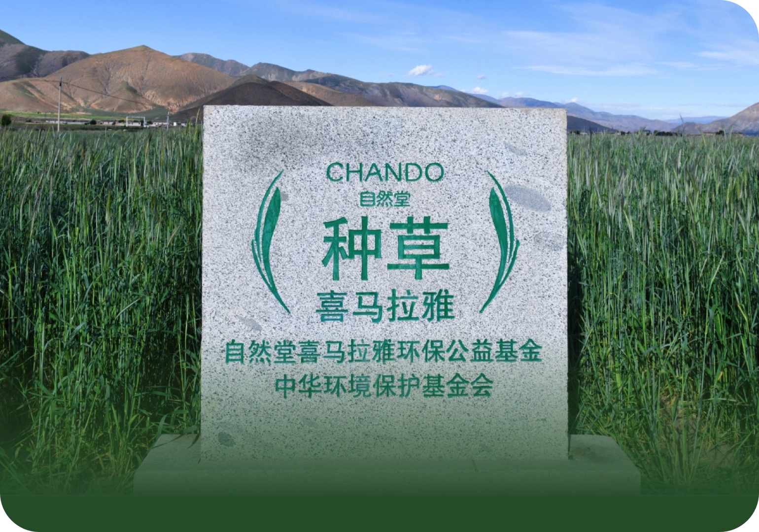 自然堂种草喜马拉雅