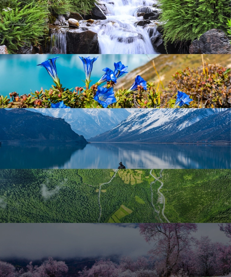 原料开发技术平台